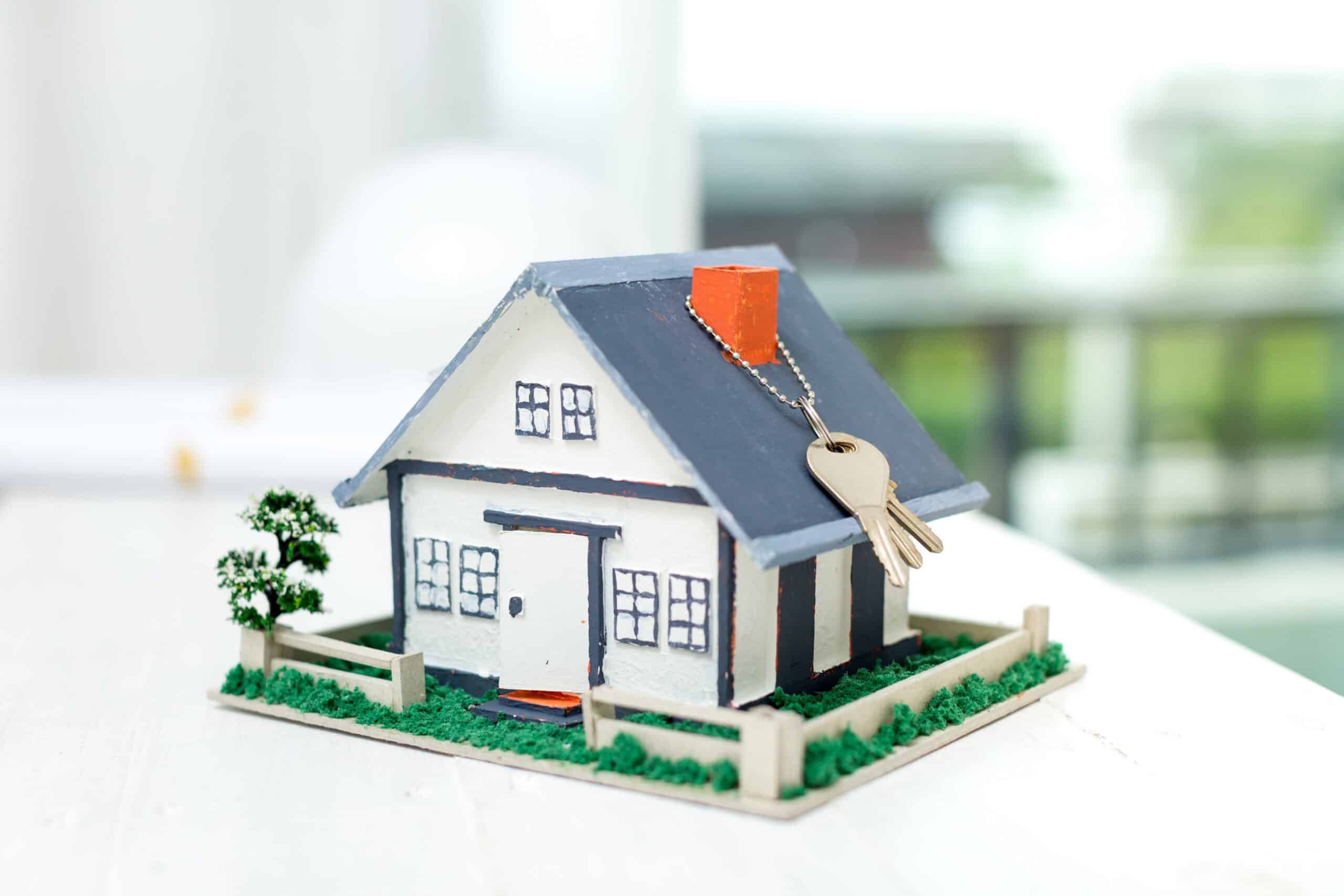 Property & Real Estate